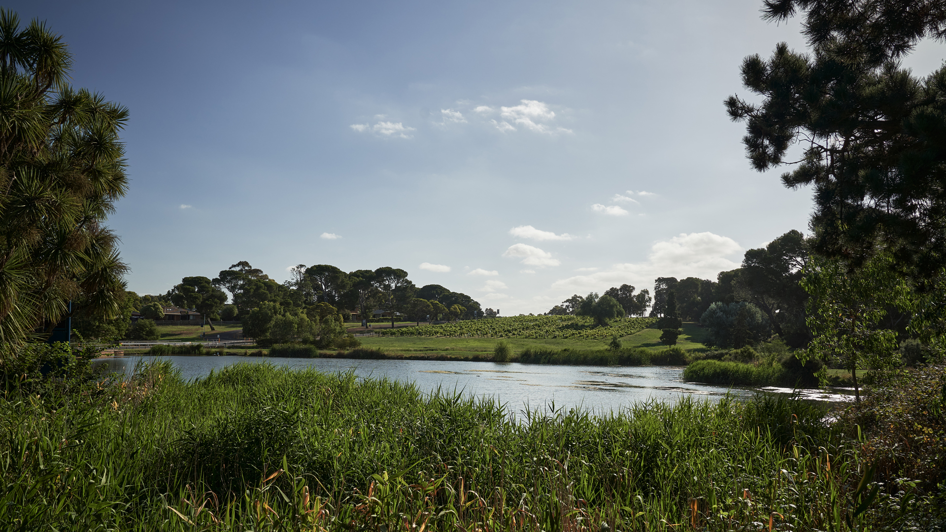 Best Walks Sunbury Hikes Trail Outdoors